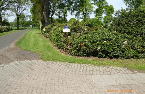 Schmidtfewo Moorgeist - Foto 4