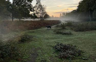 Ashbourne Cottage - Foto 32