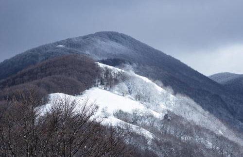 Gilardi Apartments - Foto 45