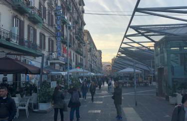 PICA ROOF - Photo 19