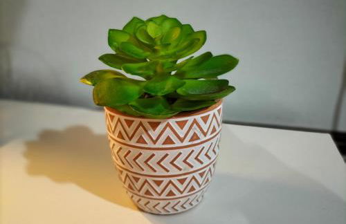 Guest House Patrocinio - Foto 15