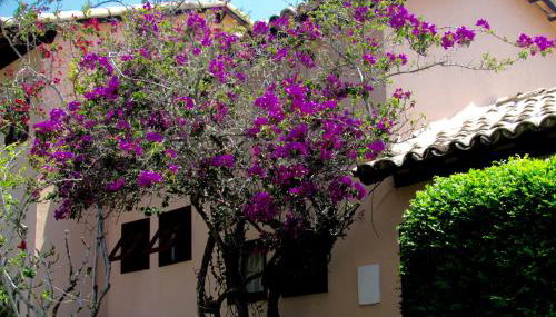 Casa Pontal do Atalaia - Photo 3