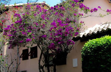 Casa Pontal do Atalaia - Photo 3