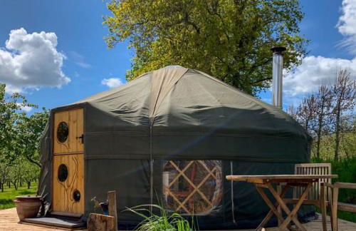 Dragon Orchard Retreat - Foto 38