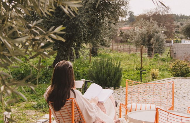 Chão do Ribeirinho, Castelo Branco - Photo 17