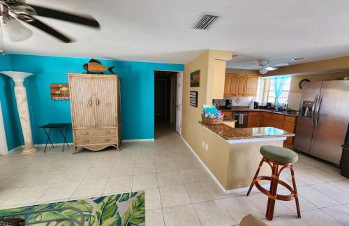 Sea Turtle Sunshine - Foto 8