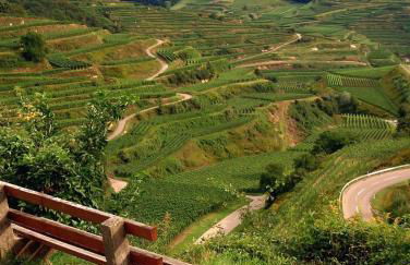 LandhausTrautwein - Foto 15