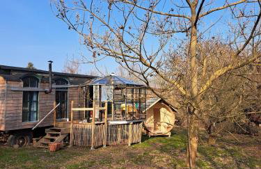 Tiny Haus - Sternenblick - Sauna - Foto 17