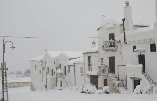 Patanella Wine - Foto 18