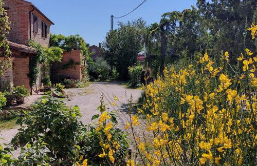 Casale San Martino Agriturismo Bio - Foto 13