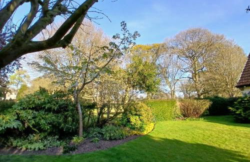 The Herons - Foto 21