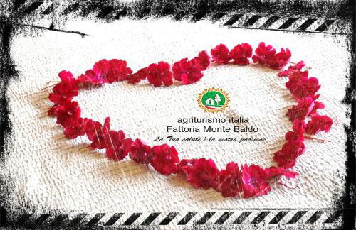 Agriturismo Fattoria Monte Baldo VISTA LAGO - Foto 40