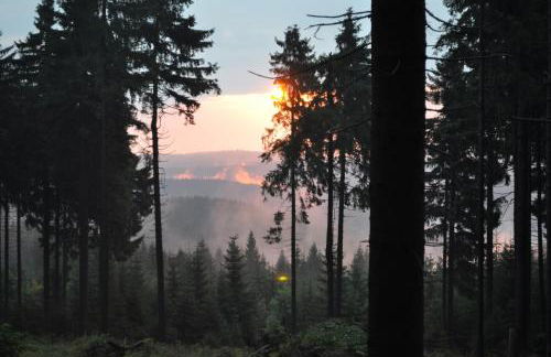 Apartments und Bistro Zum Glasmacher - Foto 88