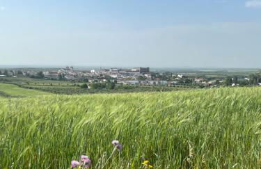 A casa dos Avós - Foto 19