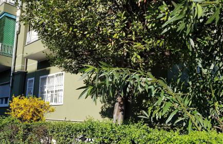 I Host apartment - Cossa 19 - Foto 31