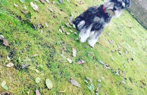 Ballyginny Cottage - Foto 60