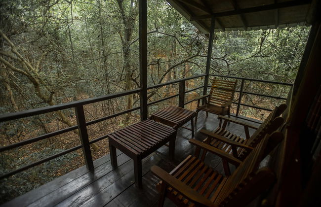 Inn On The Tree Eco Resort Sigiriya - Photo 5