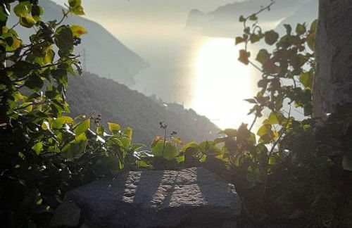 Arco Felix - Foto 70