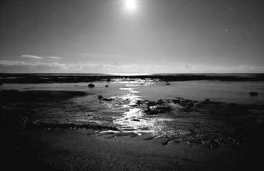 Clifton House, Northumberland - Foto 16