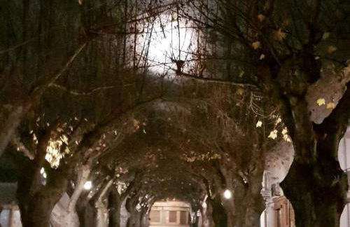 Patio de las Flores - Foto 39