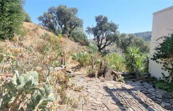 Les pieds dans l'eau ! - Foto 4