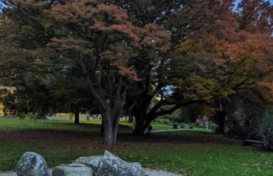 White City Apartment, your London stay - Foto 21