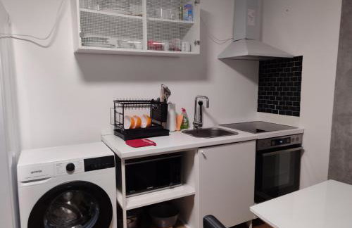 Ferienwohnung Rhein-Main II - Foto 13