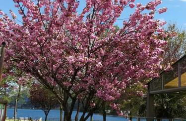 Appartamento Galet - Foto 25