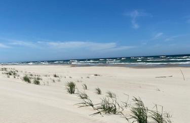 Czarna Perła - Foto 6