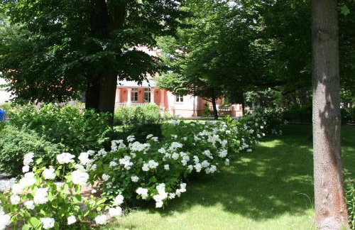 Willa Różana - Foto 58