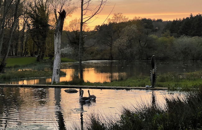 North Norfolk Glamping - Foto 38