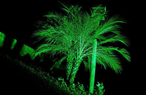 Chalé na Natureza | Hidro | Lareira | Wi-Fi - Foto 44