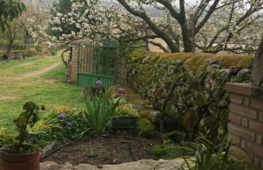 LA ANTIGUA TAHONA - Foto 5