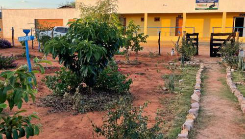 Hostel o Viveiro - Serra da Capivara - Centro Sócioambiental - Foto 5