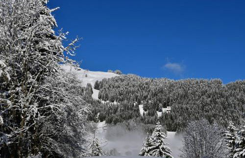 Chalet Orlando - Foto 18