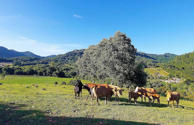 Cabana Casa Enxaimel - Foto 35