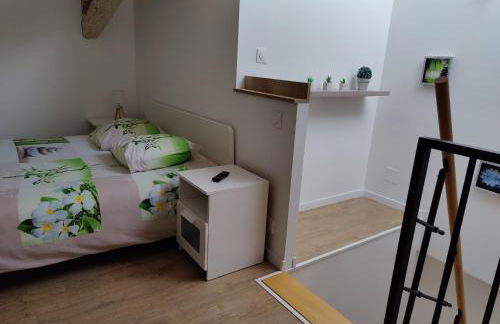 Le Green Duplex moderne en hypercentre - Foto 16