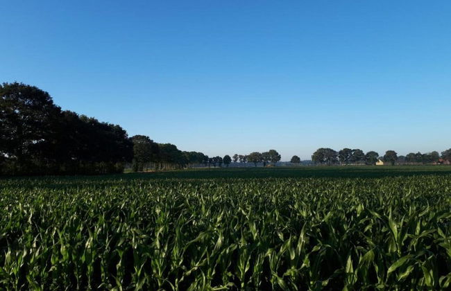 Cozy Holiday Home with Garden near Zwolle - Foto 28