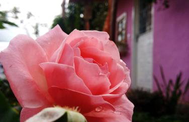 Villa Ágape - Chapada dos Veadeiros - Foto 79