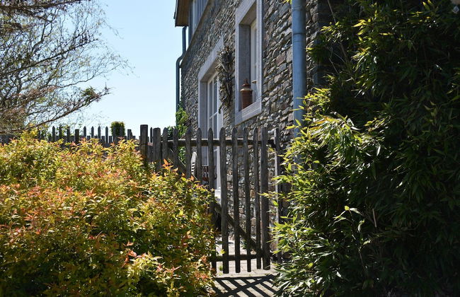 Forest Cottage, Jehonville - Photo 31