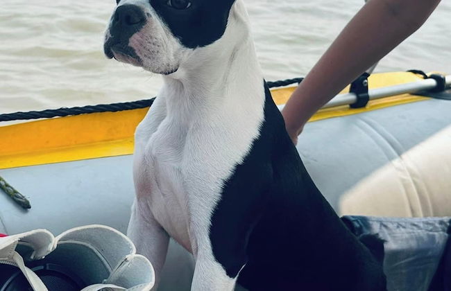 The Anchorage - Foto 41