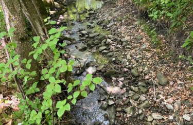 Studio confortable et chaleureux, vue magnifique - Photo 19