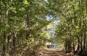 Country Retreat with ponds-views-porches & pups - Foto 24