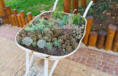 Chalé Família Rigolo - Photo 34