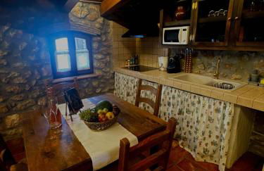 Mas del Drac - Foto 18