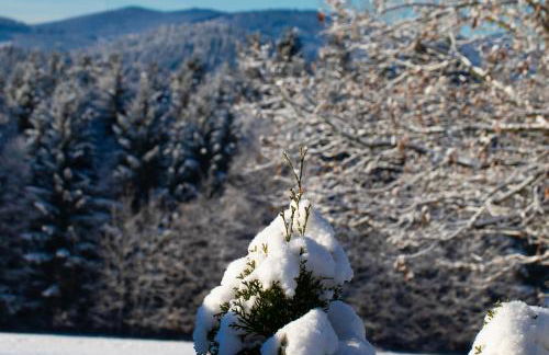 Chalet Wickie - Foto 28