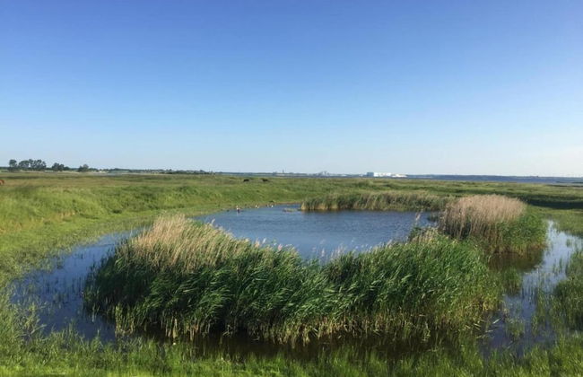 Insel- Bungalow auf Poel - Foto 17