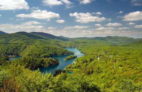 Afrodita Wellness Essence - Foto 38