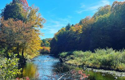 Vintage Shasta Camper for the best of NYC Glamping - Foto 9