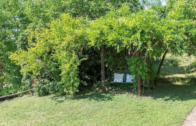 Pg-l188-vocl0at - Pratoline 8 - Foto 40